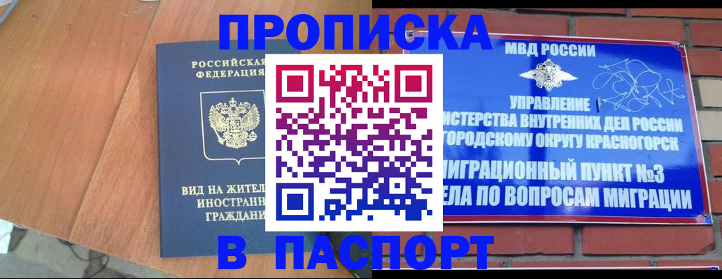 найти адрес прописки в Чкаловске